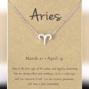 Silver Zodiac Necklace